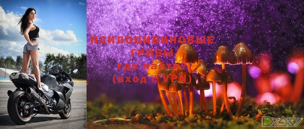 стафф Белокуриха