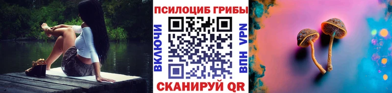 Псилоцибиновые грибы Magic Shrooms где можно купить Бугульма